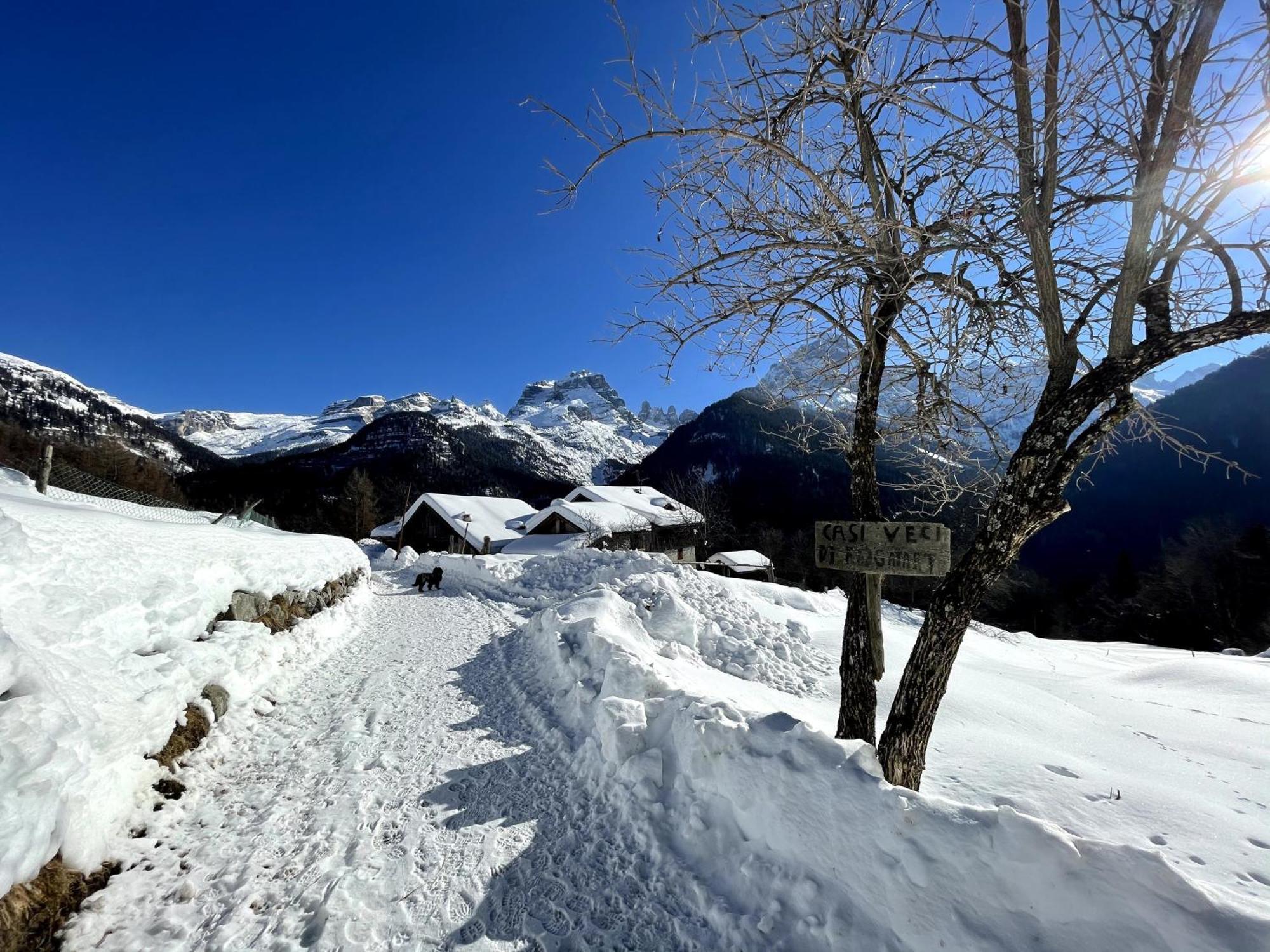 Villa Alpina Campiglio مادونا دي كامبيليو المظهر الخارجي الصورة