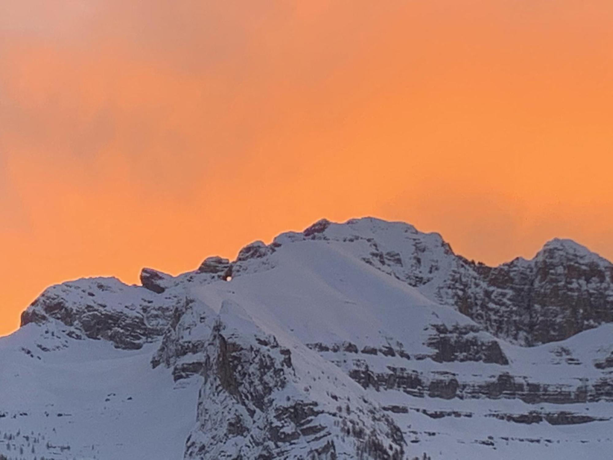 Villa Alpina Campiglio مادونا دي كامبيليو المظهر الخارجي الصورة
