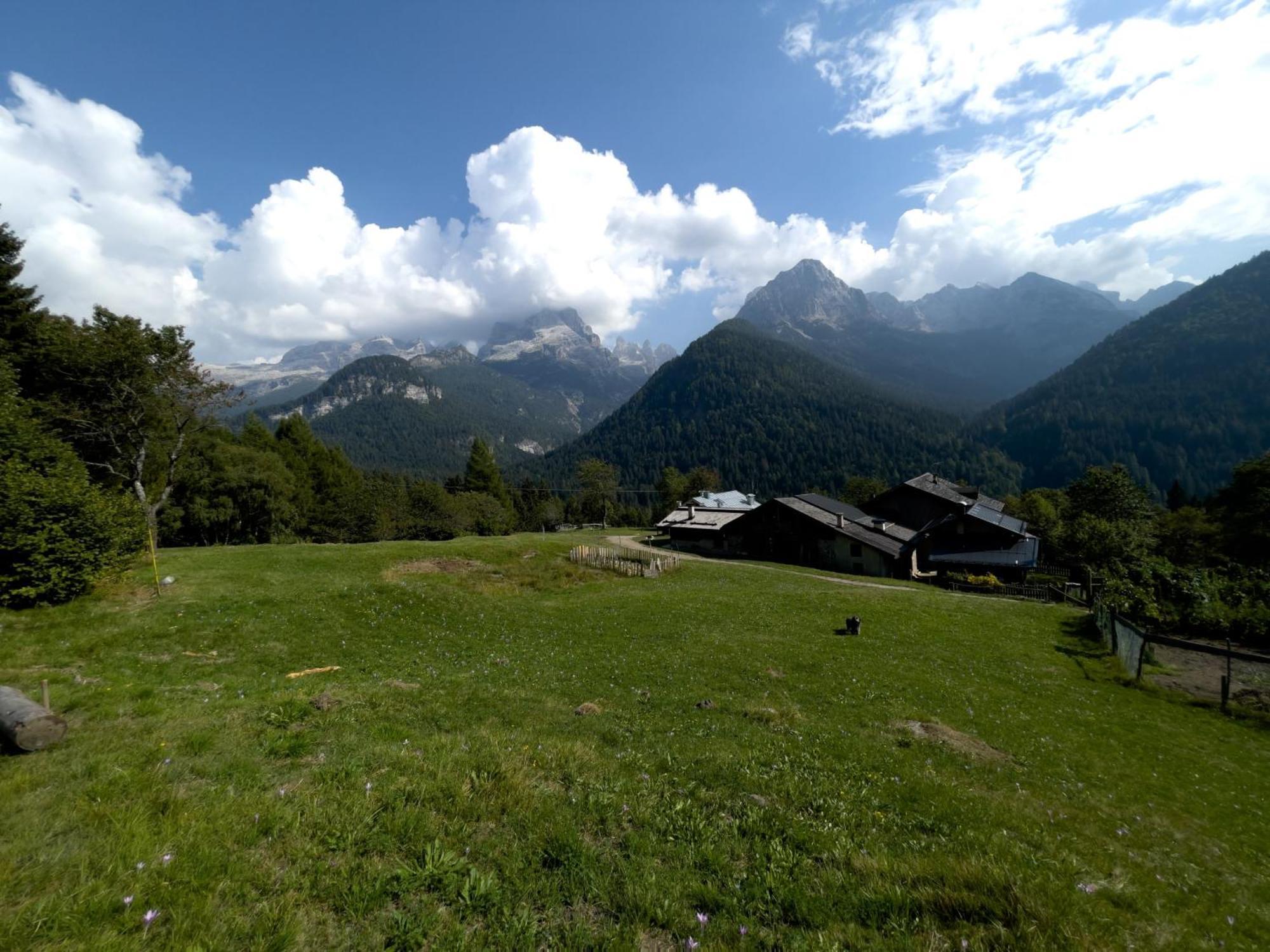 Villa Alpina Campiglio مادونا دي كامبيليو المظهر الخارجي الصورة