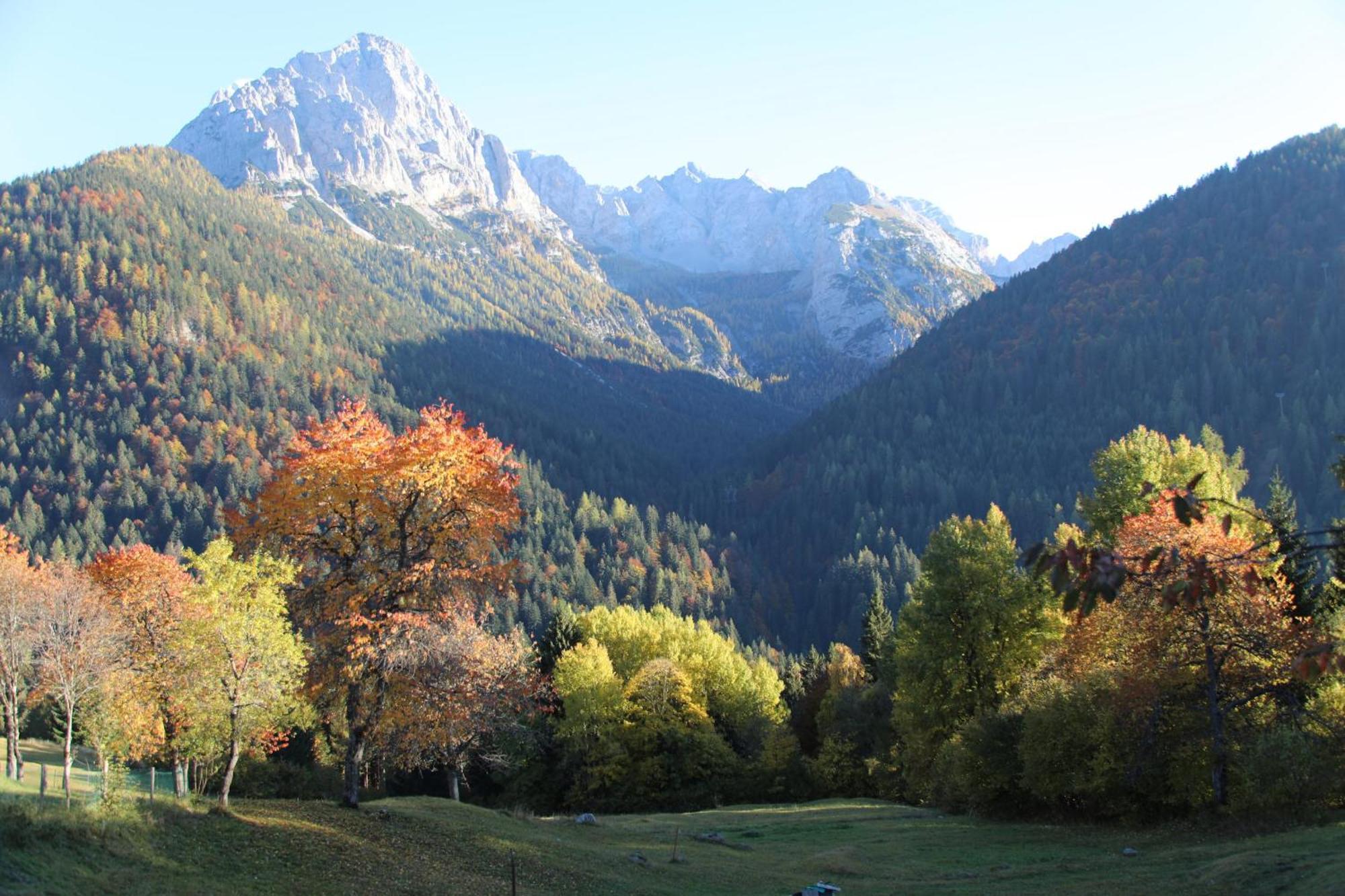 Villa Alpina Campiglio مادونا دي كامبيليو المظهر الخارجي الصورة