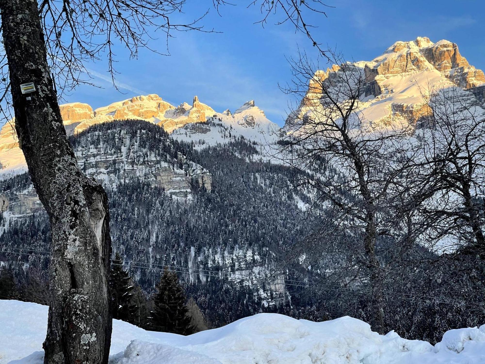 Villa Alpina Campiglio مادونا دي كامبيليو المظهر الخارجي الصورة