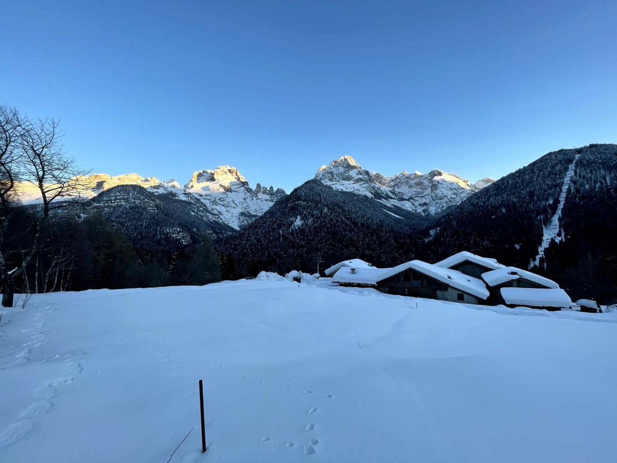 Villa Alpina Campiglio مادونا دي كامبيليو المظهر الخارجي الصورة